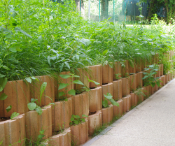 TALUDECOR OCRE   D.50 X24