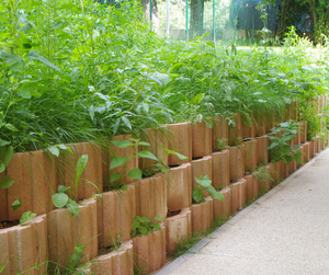 TALUDECOR OCRE   D.50 X24