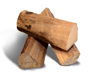 WOODSTOCK BOIS BUCHES HP 40CM BALLOT 1300 DM3